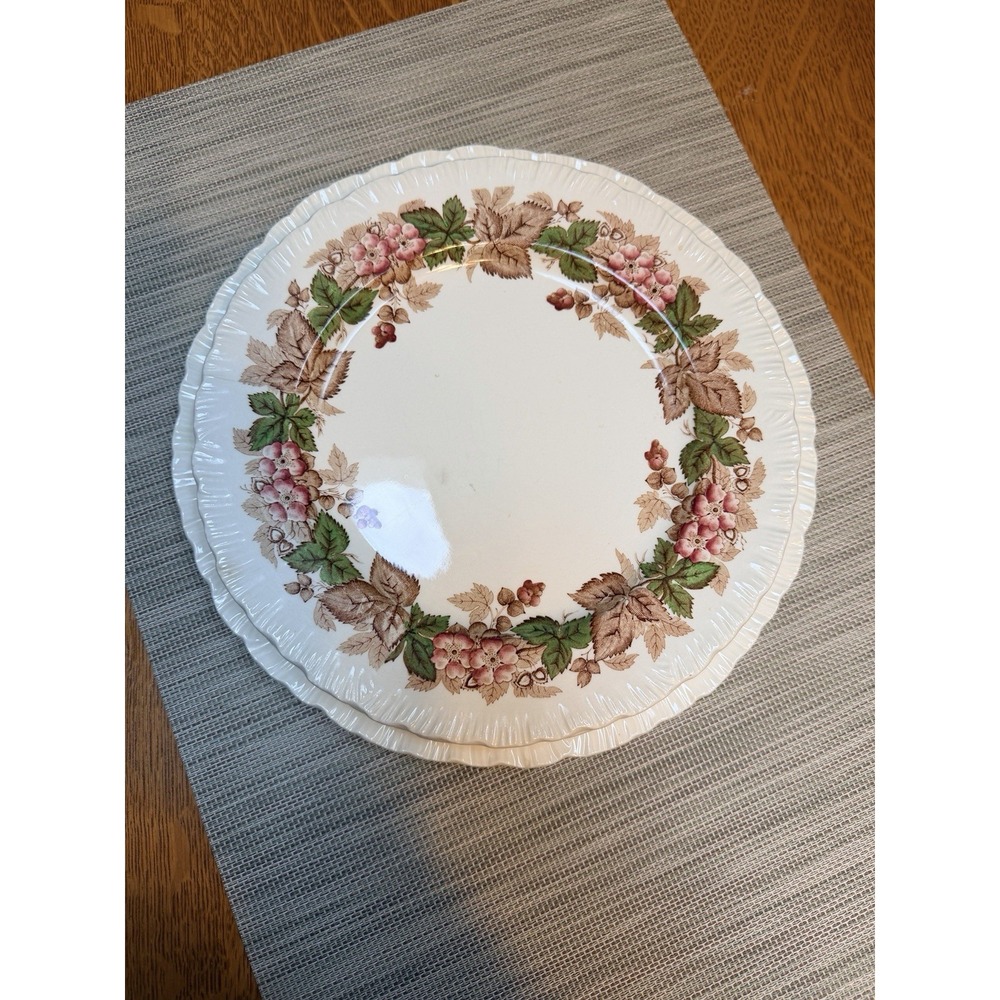 Set Of 4 Vtg Wedgwood Wildbriar 9" And 10.25" Dinner Plates